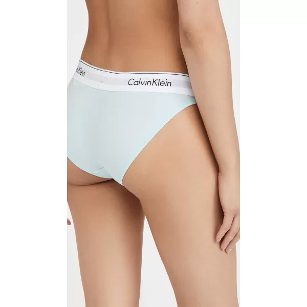 Calvin Klein Womens Modern Cotton Bikini PantyFrost Blue