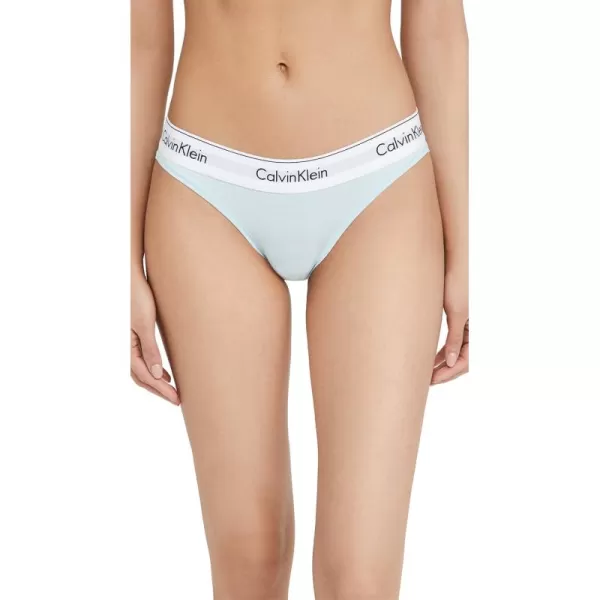 Calvin Klein Womens Modern Cotton Bikini PantyFrost Blue