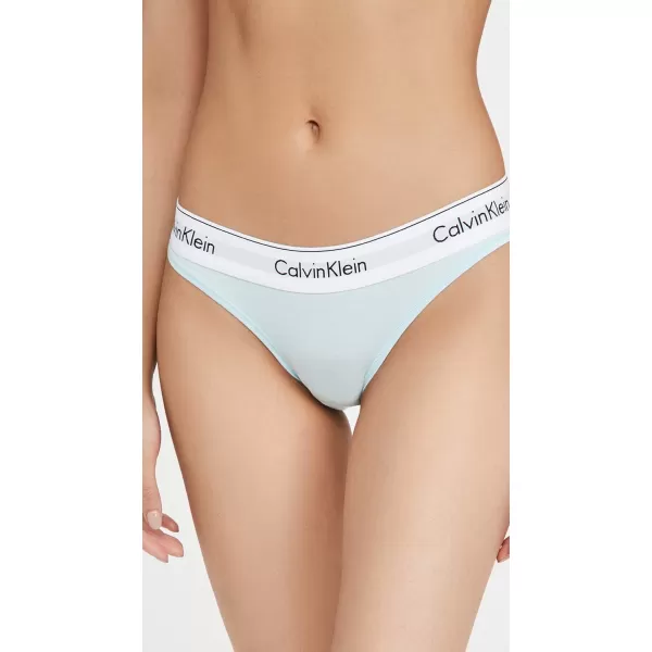 Calvin Klein Womens Modern Cotton Bikini PantyFrost Blue