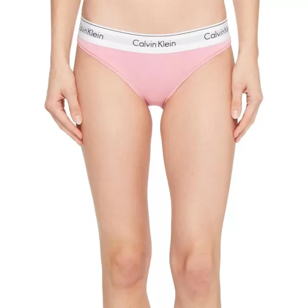 Calvin Klein Womens Modern Cotton Bikini PantyPenelope