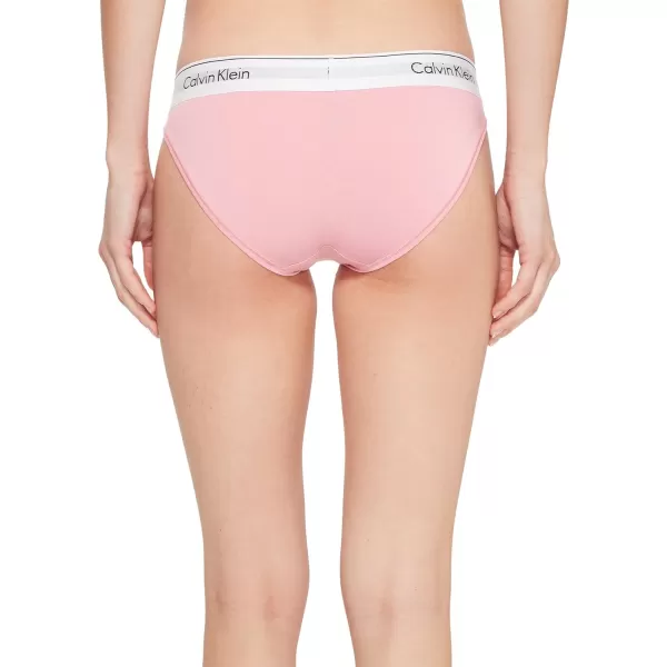 Calvin Klein Womens Modern Cotton Bikini PantyPenelope