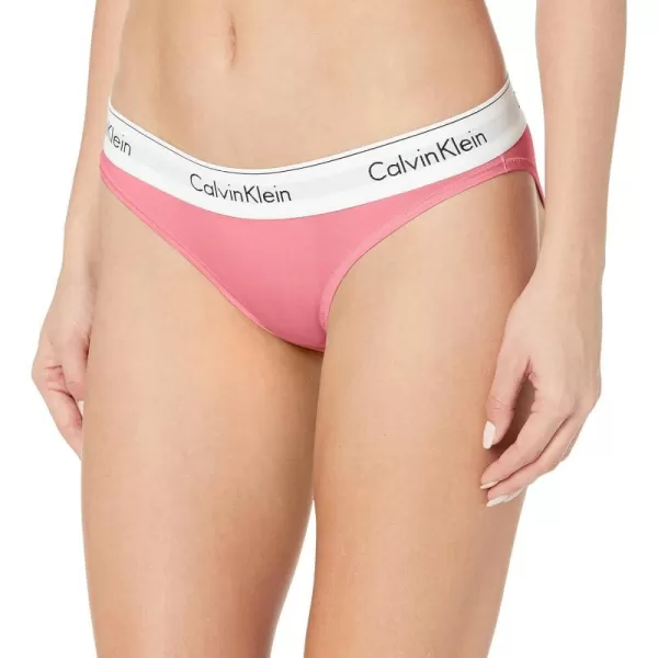 Calvin Klein Womens Modern Cotton Bikini PantyRosey Dream