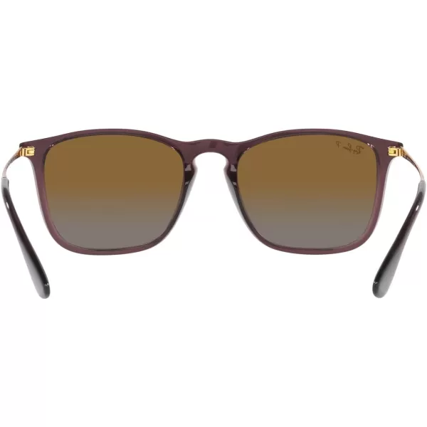 RayBan RB4187 Chris Square SunglassesTransparent BrownGrey Gradient Brown Polarized