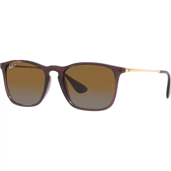 RayBan RB4187 Chris Square SunglassesTransparent BrownGrey Gradient Brown Polarized