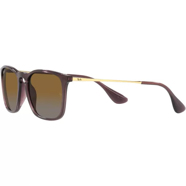 RayBan RB4187 Chris Square SunglassesTransparent BrownGrey Gradient Brown Polarized