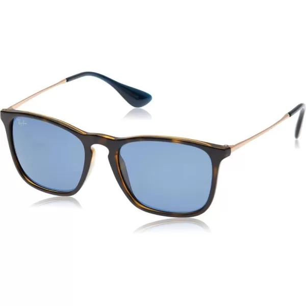 RayBan RB4187 Chris Square SunglassesHavanaDark Blue