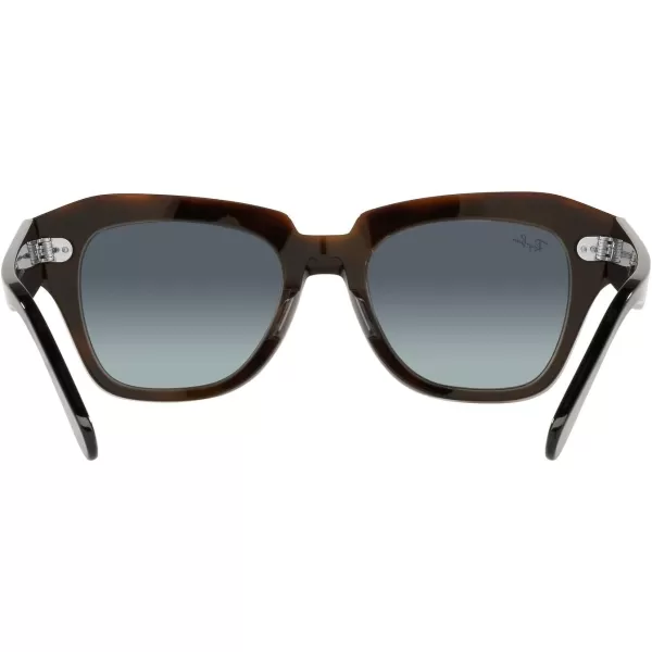 RayBan RB2186 State Street Square SunglassesBlack on Transparent BrownGrey Vintage