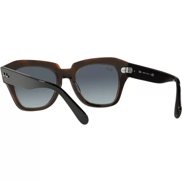 RayBan RB2186 State Street Square SunglassesBlack on Transparent BrownGrey Vintage