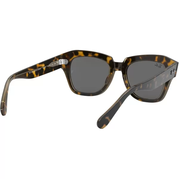 RayBan RB2186 State Street Square SunglassesHavana on Transparent BrownDark Grey