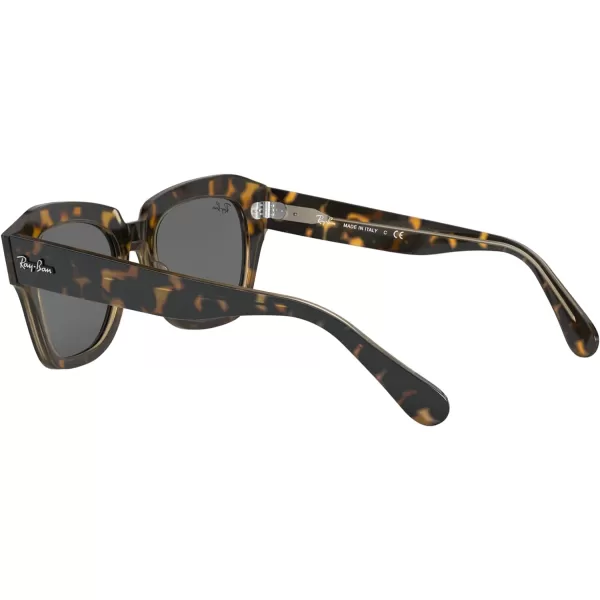 RayBan RB2186 State Street Square SunglassesHavana on Transparent BrownDark Grey