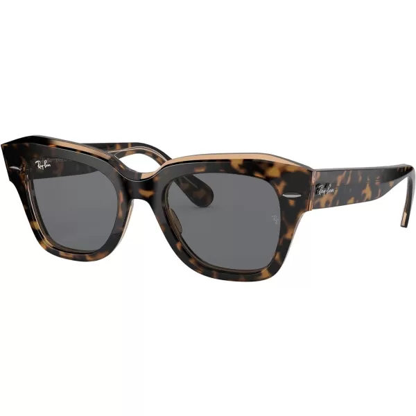 RayBan RB2186 State Street Square SunglassesHavana on Transparent BrownDark Grey