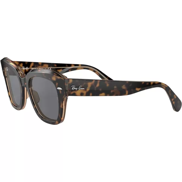 RayBan RB2186 State Street Square SunglassesHavana on Transparent BrownDark Grey