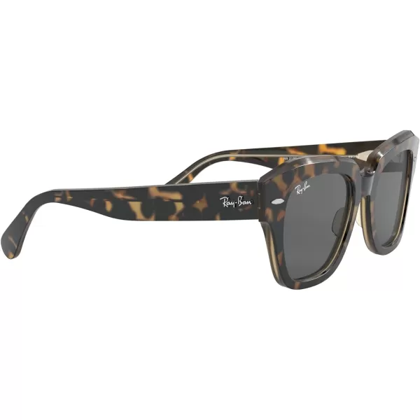 RayBan RB2186 State Street Square SunglassesHavana on Transparent BrownDark Grey