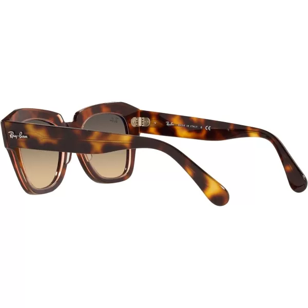 RayBan RB2186 State Street Square SunglassesHavana on Transparent PinkBrown Vintage