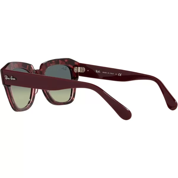 RayBan RB2186 State Street Square SunglassesHavana on Transparent PurpleGreen Vintage