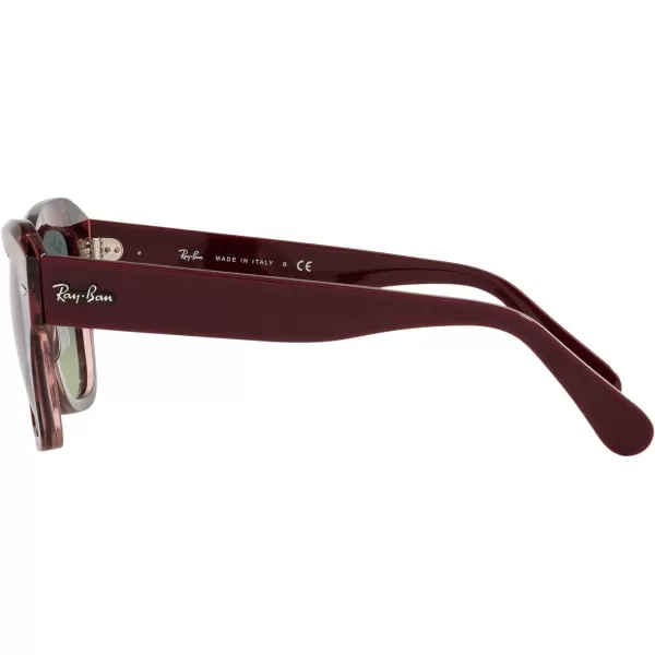 RayBan RB2186 State Street Square SunglassesHavana on Transparent PurpleGreen Vintage