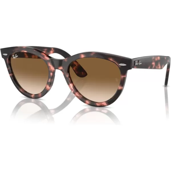 RayBan Rb2241 Wayfarer Way Round SunglassesPink HavanaClear Gradient Brown