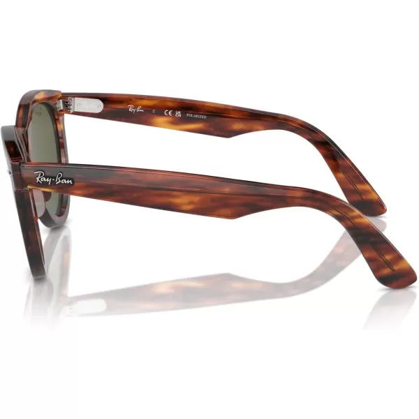 RayBan Rb2241 Wayfarer Way Round SunglassesStriped HavanaGreen Polarized