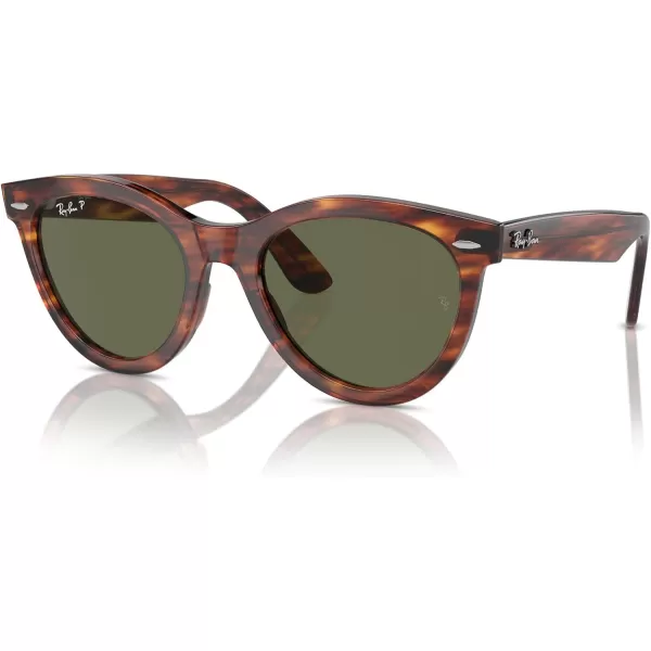 RayBan Rb2241 Wayfarer Way Round SunglassesStriped HavanaGreen Polarized