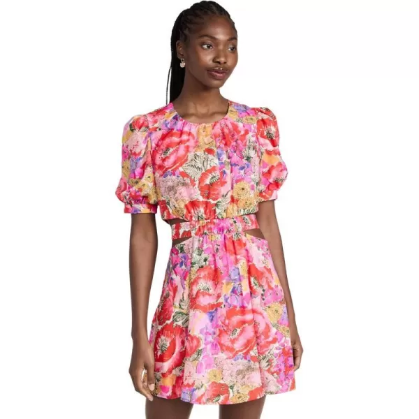 Amur Womens Cole Cutout Mini DressPoppy Field Pastel Floral