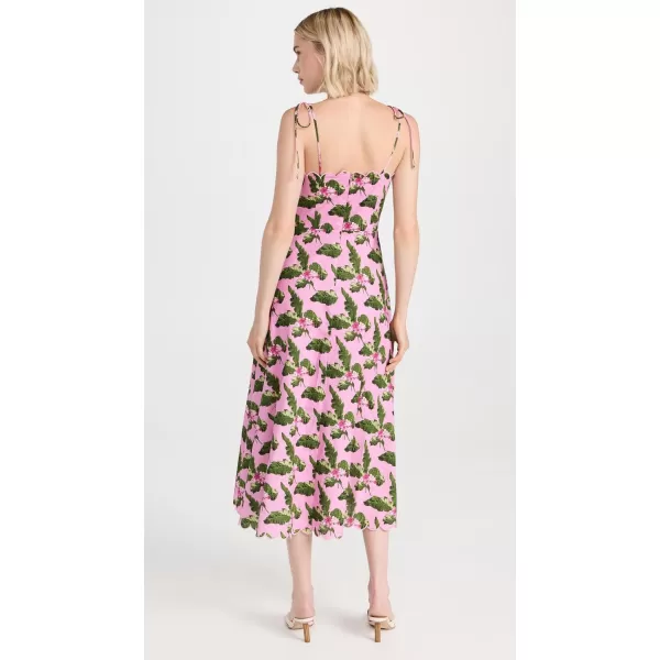 AMUR Womens Tori Midi DressMelon Palm