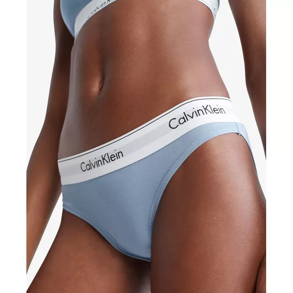 Calvin Klein Womens Modern Cotton Stretch Bikini PantyIceland Blue