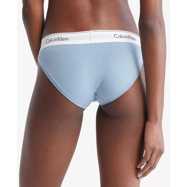 Calvin Klein Womens Modern Cotton Stretch Bikini PantyIceland Blue