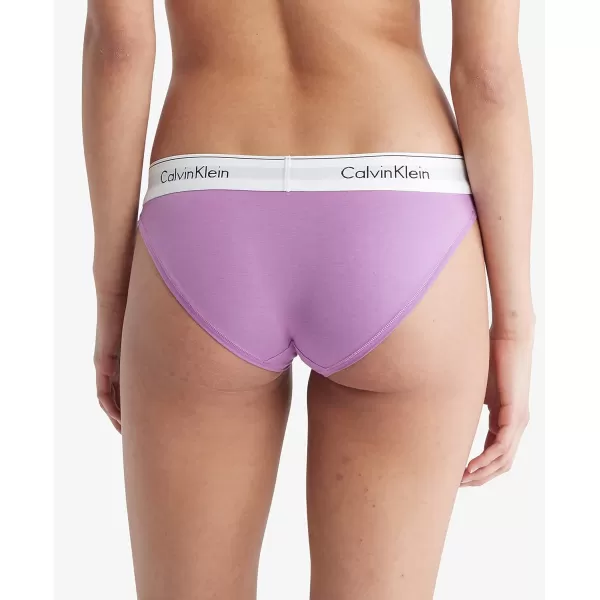 Calvin Klein Womens Modern Cotton Stretch Bikini PantyIris Orchid