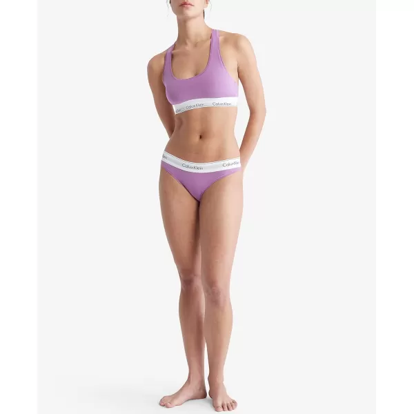 Calvin Klein Womens Modern Cotton Stretch Bikini PantyIris Orchid