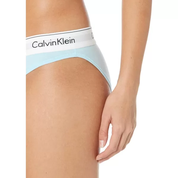 Calvin Klein Womens Modern Cotton Stretch Bikini PantyRain Dance