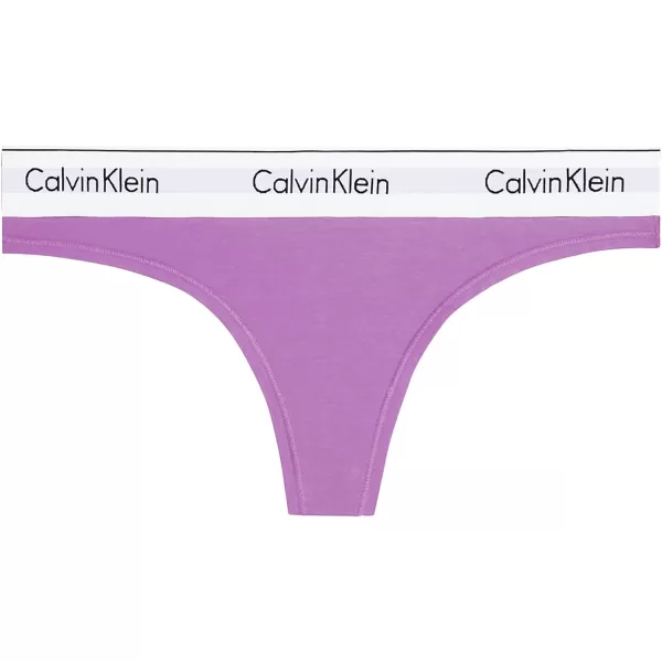 Calvin Klein Womens Modern Cotton Stretch Thong PantiesIris Orchid