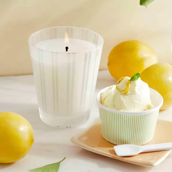 NEST New York Bamboo Scented Classic CandleAmalfi Lemon amp Mint Classic Candle