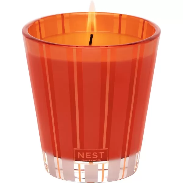 NEST New York Bamboo Scented Classic CandlePumpkin Chai Classic Candle  Soap