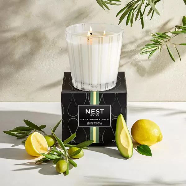 NEST New York Bamboo Scented Classic CandleSantorini Olive amp Citron 3Wick Candle