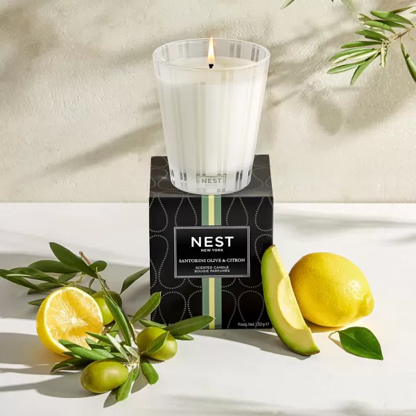 NEST New York Bamboo Scented Classic CandleSantorini Olive amp Citron Classic Candle