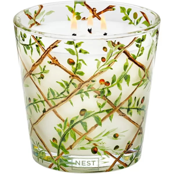 NEST New York Bamboo Scented Classic CandleSantorini Olive amp Citron Specialty 3Wick Candle