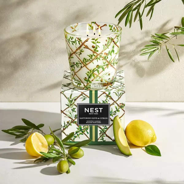 NEST New York Bamboo Scented Classic CandleSantorini Olive amp Citron Specialty 3Wick Candle