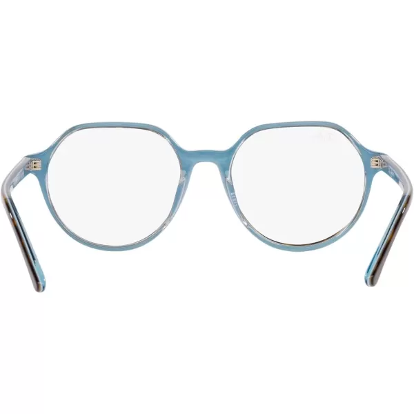 RayBan RB2195 Thalia Square SunglassesHavana on Light BlueTransition Clear to Sapphire