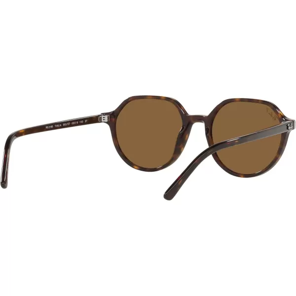 RayBan RB2195 Thalia Square SunglassesHavanaPolarized Brown