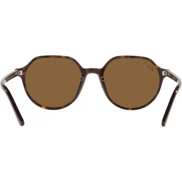 RayBan RB2195 Thalia Square SunglassesHavanaPolarized Brown