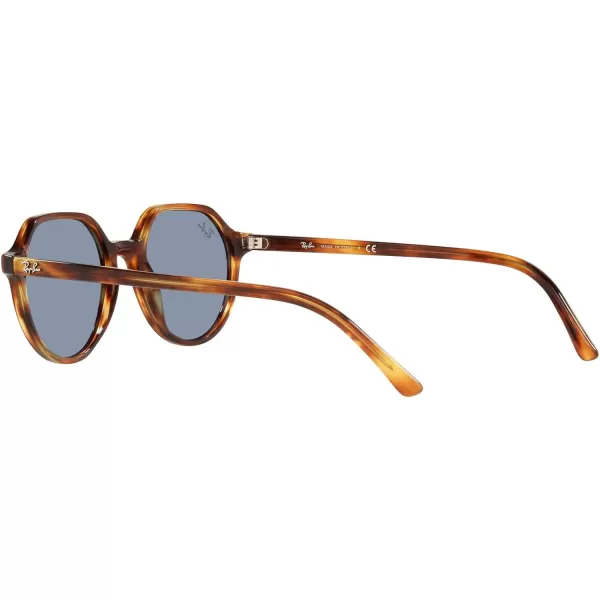 RayBan RB2195 Thalia Square SunglassesStriped HavanaBlue