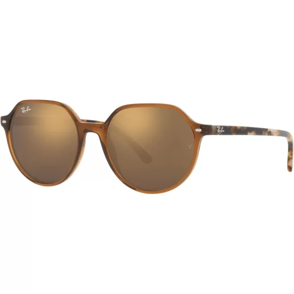 RayBan RB2195 Thalia Square SunglassesTransparent BrownLight Brown Mirrored Gold