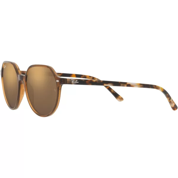 RayBan RB2195 Thalia Square SunglassesTransparent BrownLight Brown Mirrored Gold