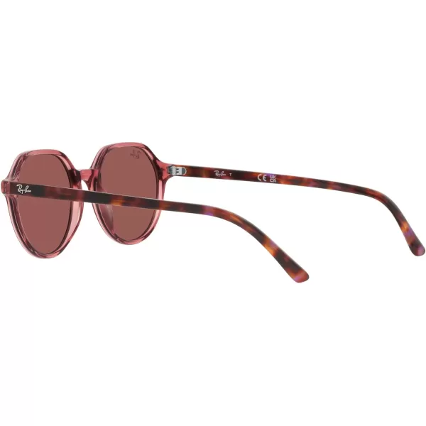 RayBan RB2195 Thalia Square SunglassesTransparent Pink on Brown amp Violet HavanaBrown Mirrored Dark Red