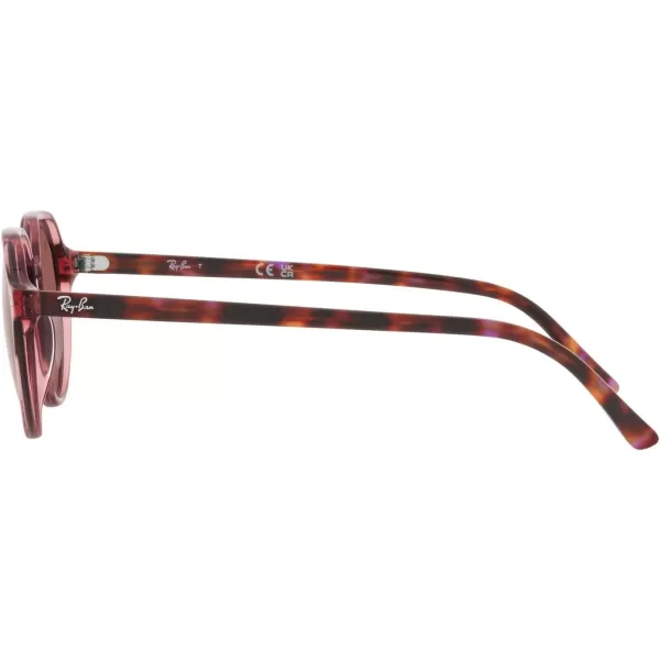 RayBan RB2195 Thalia Square SunglassesTransparent Pink on Brown amp Violet HavanaBrown Mirrored Dark Red