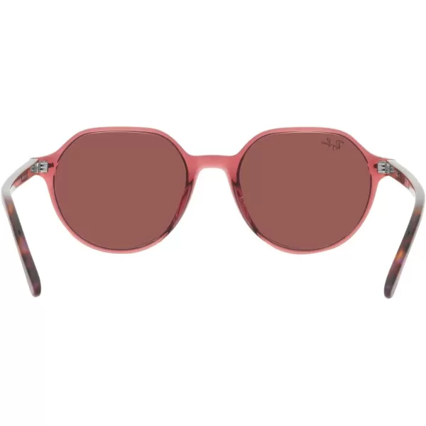 RayBan RB2195 Thalia Square SunglassesTransparent Pink on Brown amp Violet HavanaBrown Mirrored Dark Red