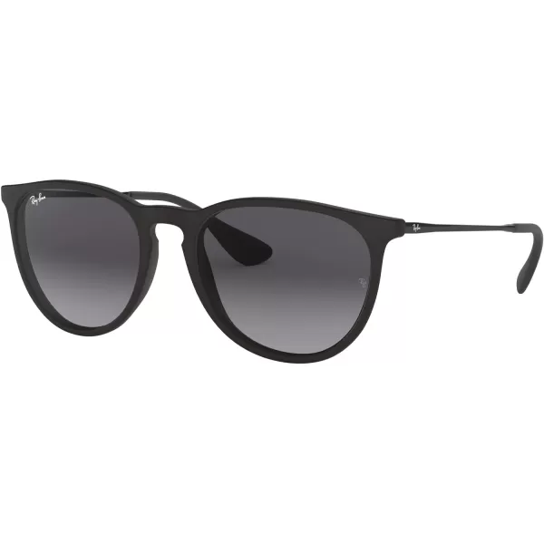 RayBan RB4171 Erika SunglassesBlack