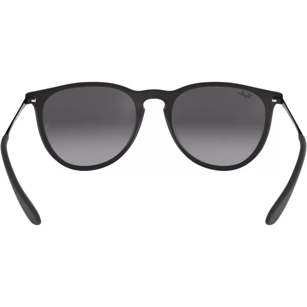 RayBan RB4171 Erika SunglassesBlack