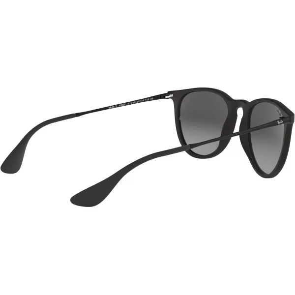 RayBan RB4171 Erika SunglassesBlack