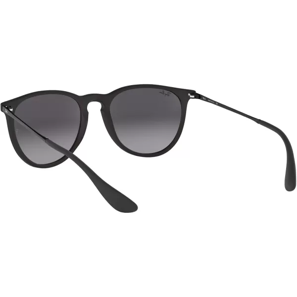 RayBan RB4171 Erika SunglassesBlack